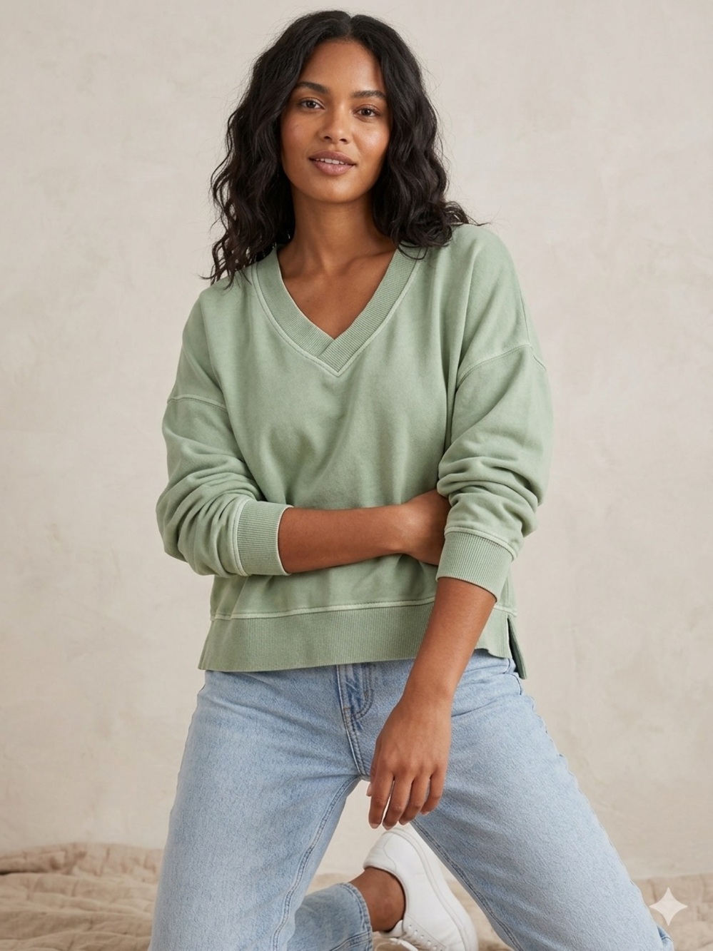 aerie L V-Neck Pullover Sweatshirt